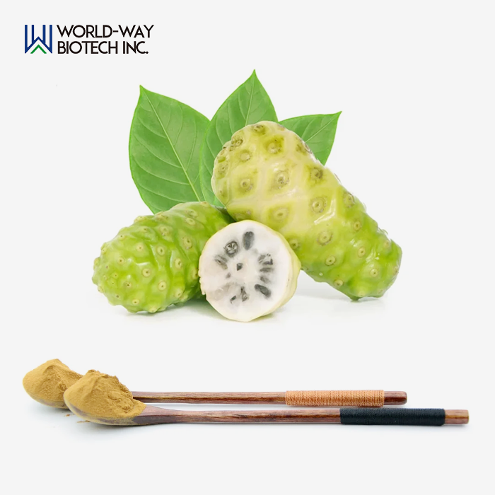 Noni Fruit Powder Noni Fruit Powder